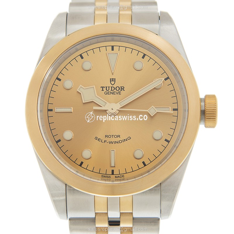 Tudor 79543CH Replica Watch - Auto - Gold/Steel - Gold Dial - Luxury Tudor Watch
